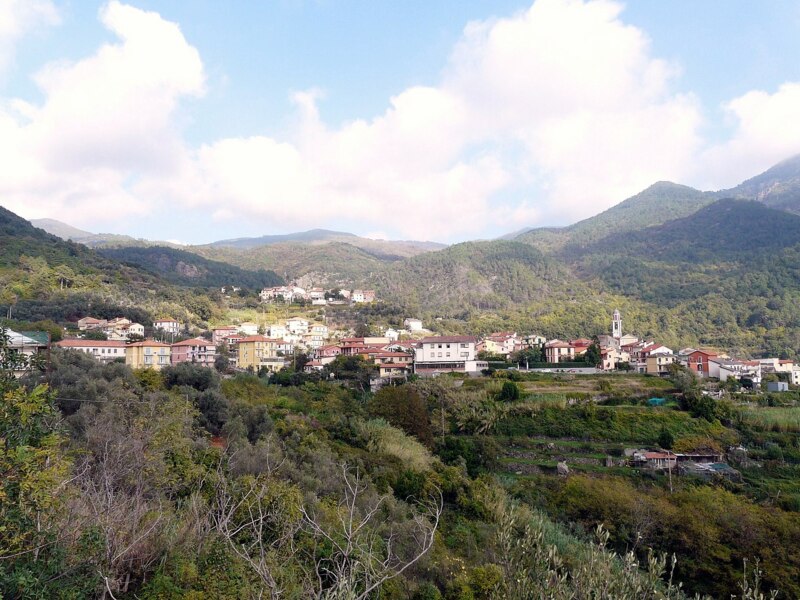 Bargone