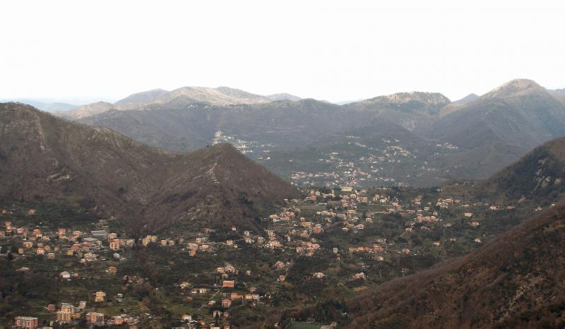 Bavari