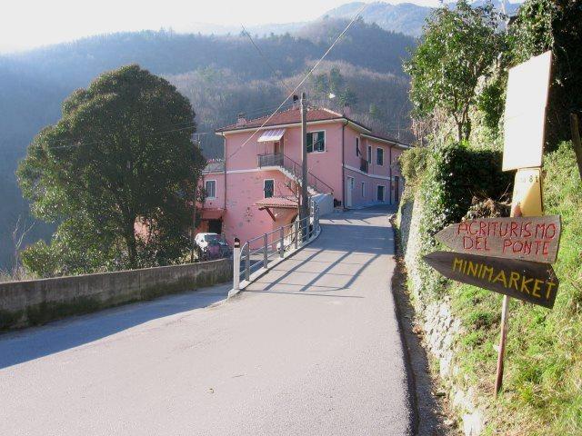 Calvi (Liguria)
