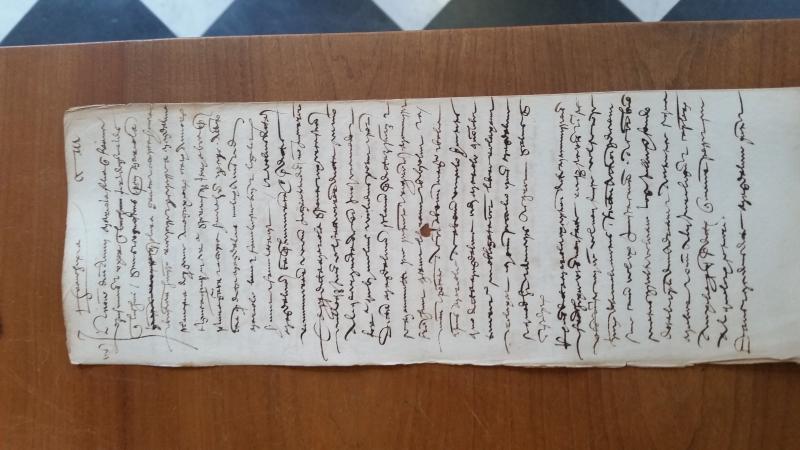 Notai antichi 918, I, nr. 203, col. 1