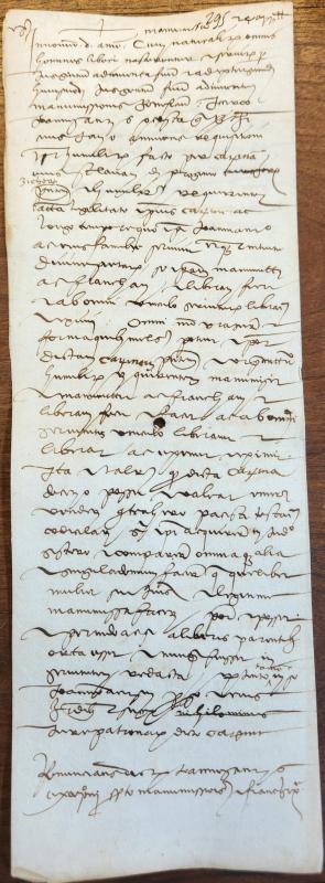 NA1279, nr. 295, col. 1