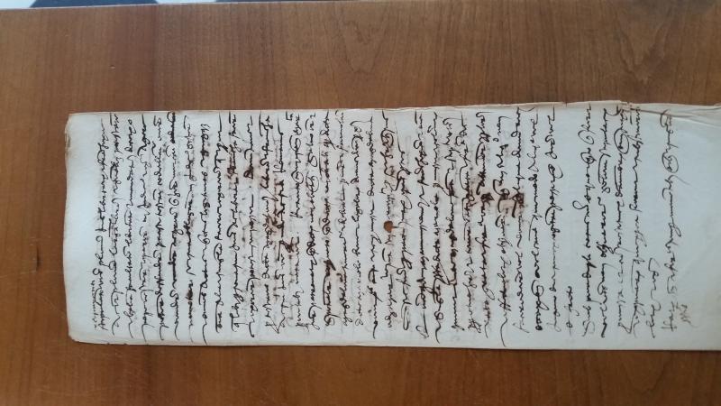Notai antichi 918, I, nr. 203, col. 2