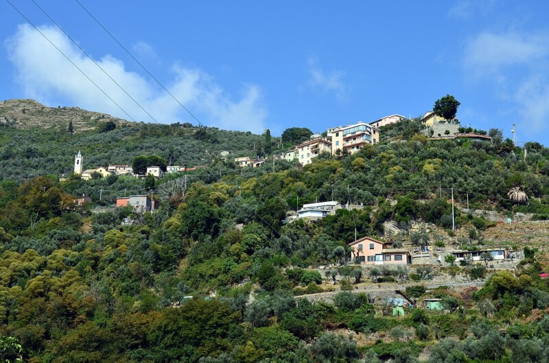 Sessarego