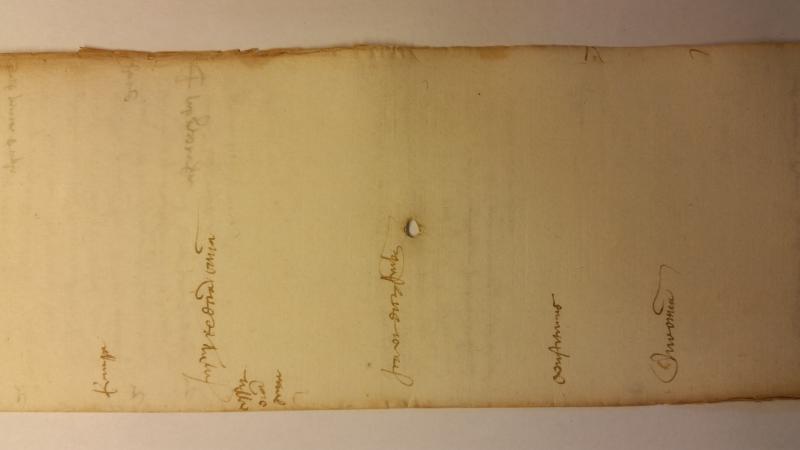 Notai antichi 901, II, nr. 371, col. 2