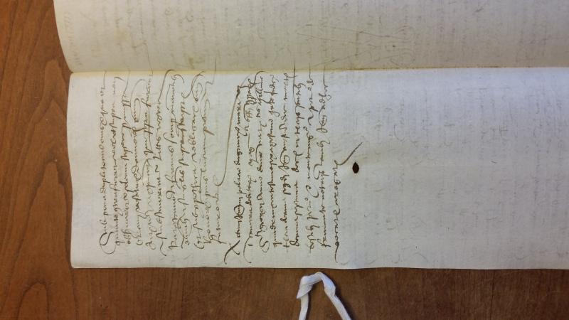 Notai antichi 916, II, nr. 498, col. 3