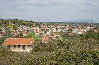 Sykamino, Greece