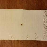 Notai antichi 718, II, nr. 235, col. 2