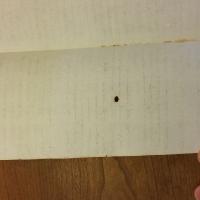 Notai antichi 917, I, nr. 467, col. 3