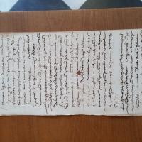 Notai antichi 918, I, nr. 203, col. 1