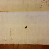 Notai antichi 895, nr. 403, col. 3