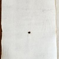 Notai antichi 897, nr. 191, col. 3
